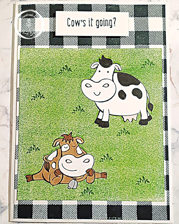 Cows It Going, 2 Cows Diff Colours