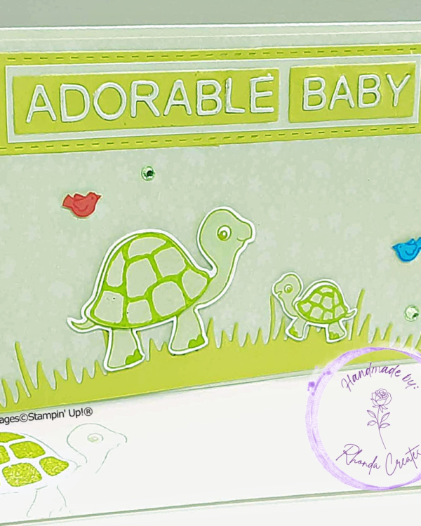 Adorable Baby Turtle, Green