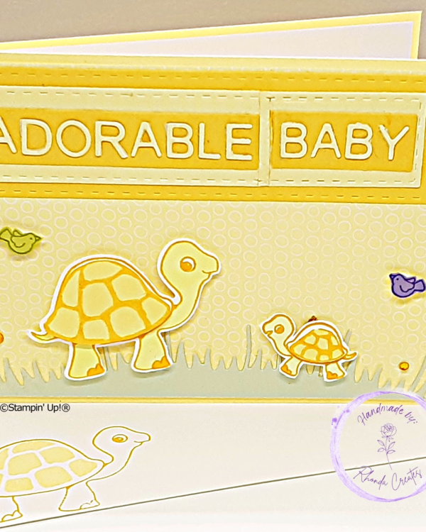Adorable Baby Turtle, Yellow