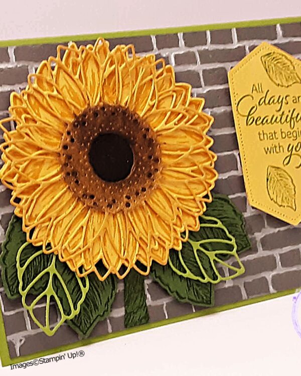 Beautiful Sunflower, Bluestone Wall