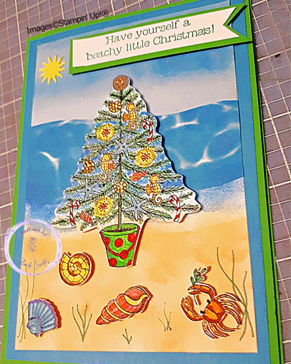 Christmas Tree on Beach