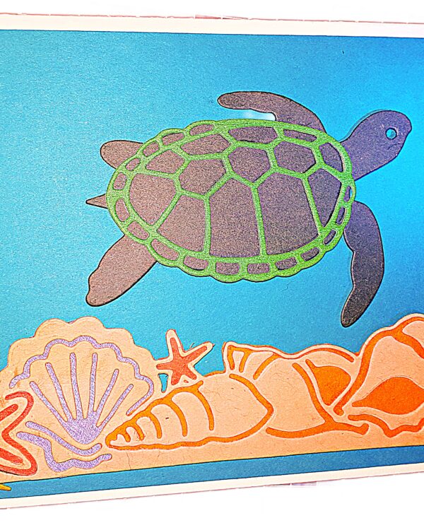 Die Cut Turtle and Shells