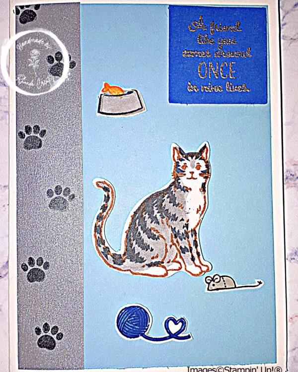 Grey on Blue, Nine Lives