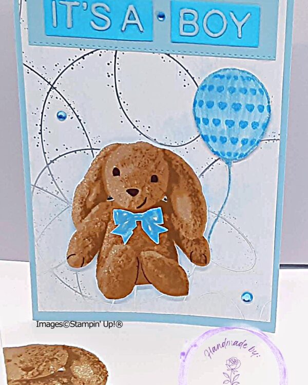 It's A Boy Brown Rabbit