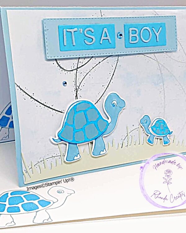 It's A Boy Turtle