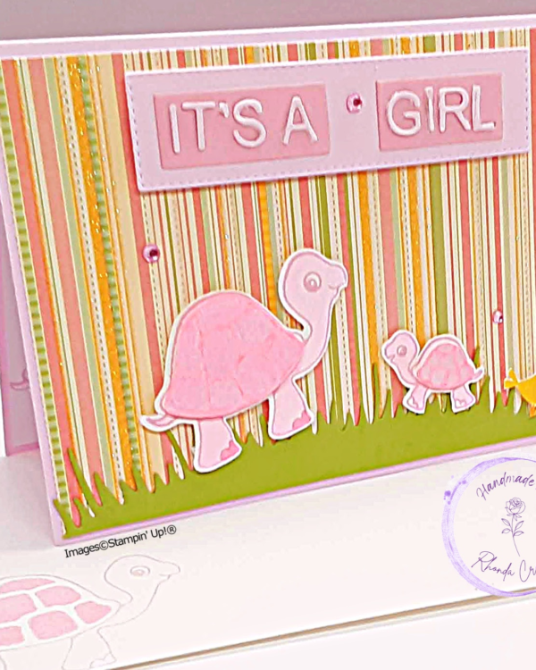 It's A Girl Turtles