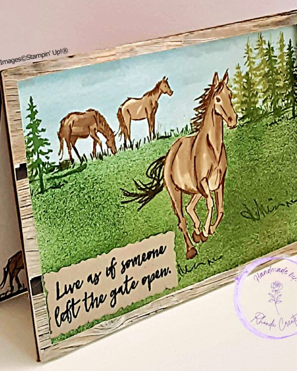 Let It Ride, Picture Frame