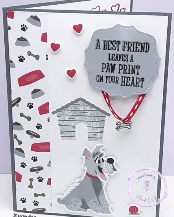 Playful Pooch Collar, DSP